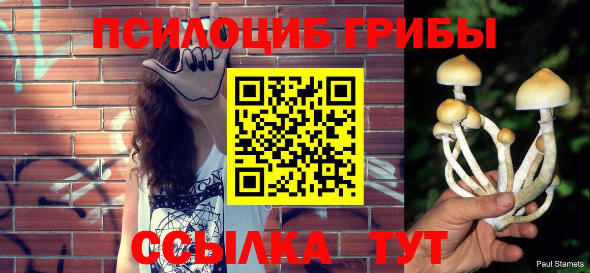 Галлюциногенные грибы MAGIC MUSHROOMS  Вход с VPN  Галлюциногенные грибы Cubensis  Камень-на-Оби 