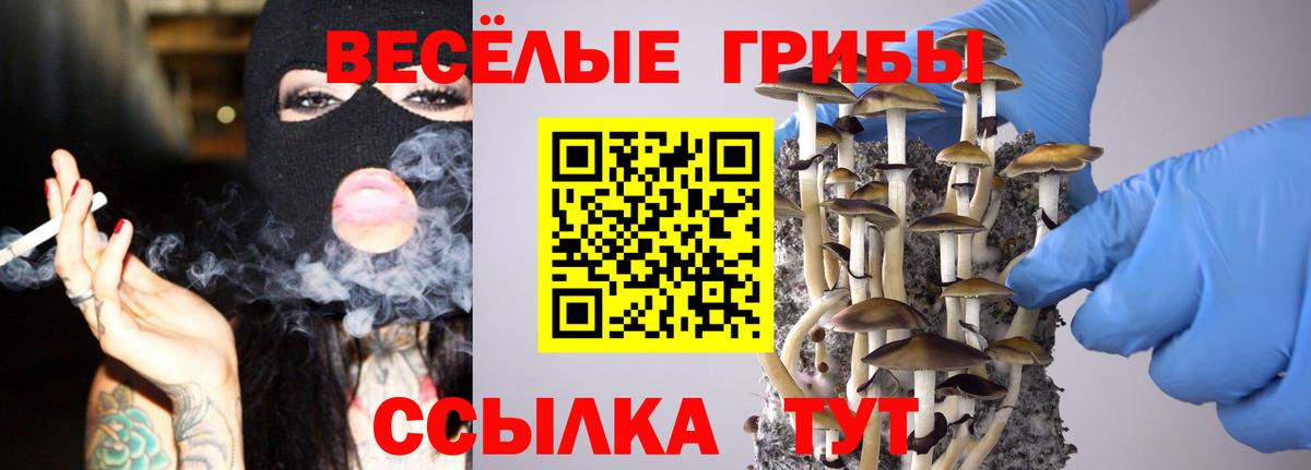 Псилоцибиновые грибы Magic Shrooms Камень-на-Оби
